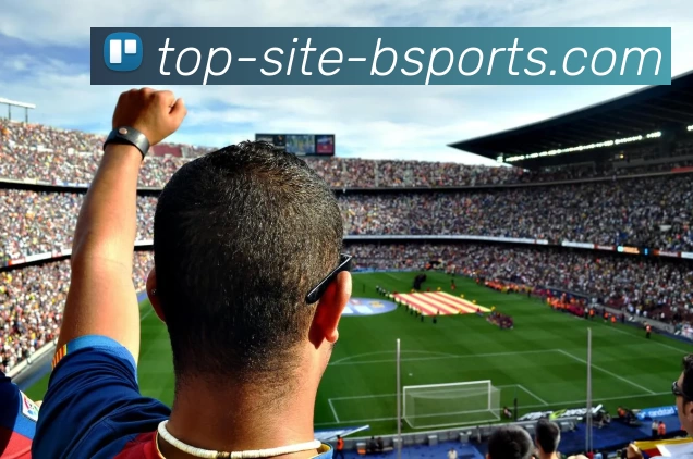 足球明星的诞生手语视频揭秘运动员背后的故事与努力